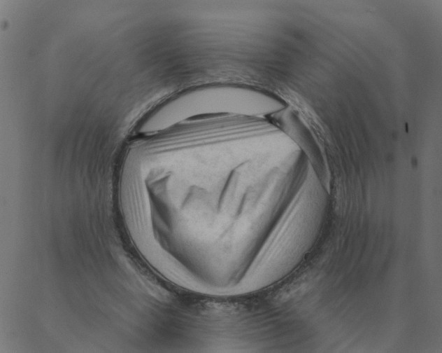 X0000087390442200705181311