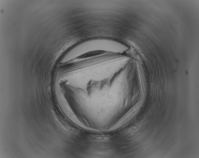 X0000087390443200705181311