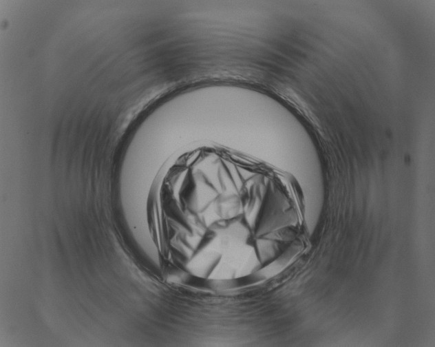 X0000087390444200705181311