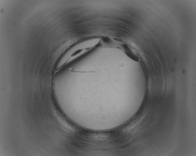 X0000087390445200705181311