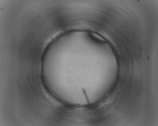 X0000087390446200705181311