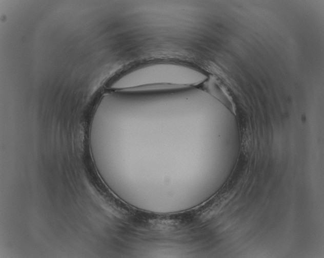 X0000087390448200705181311