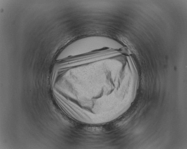 X0000087390449200705181311