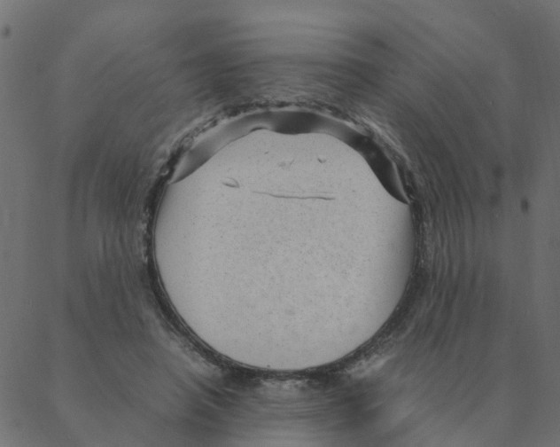 X0000087390450200705181311