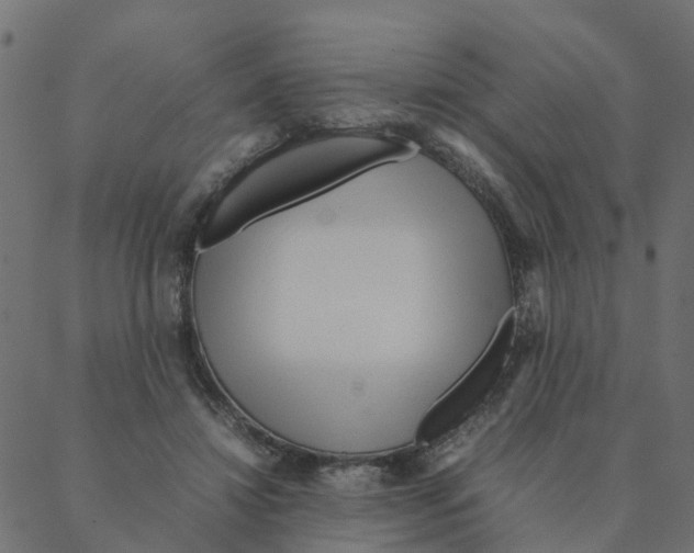 X0000087390452200705181311