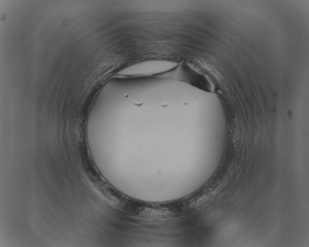 X0000087390455200705181311