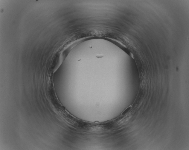 X0000087390456200705181311