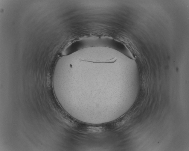 X0000087390457200705181311