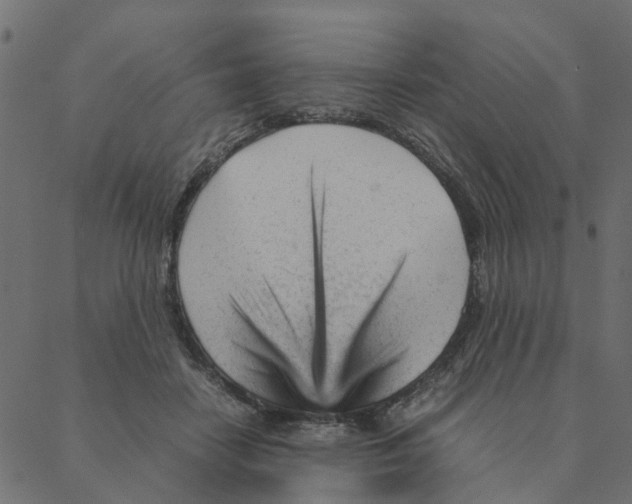 X0000087390458200705181311