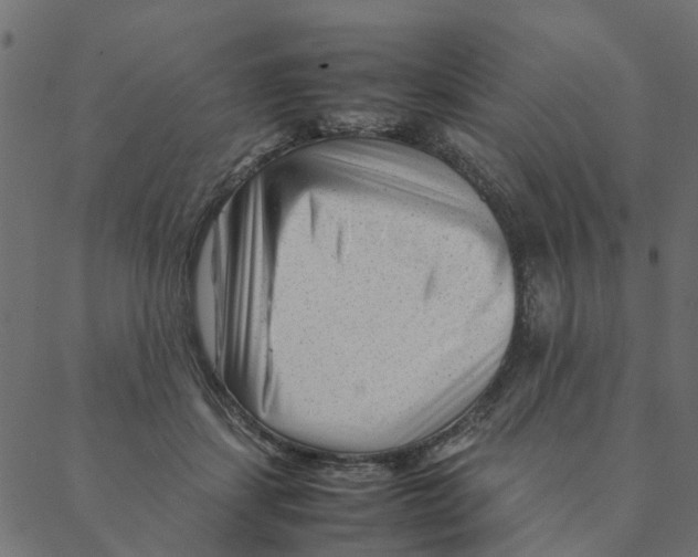 X0000087390459200705181311