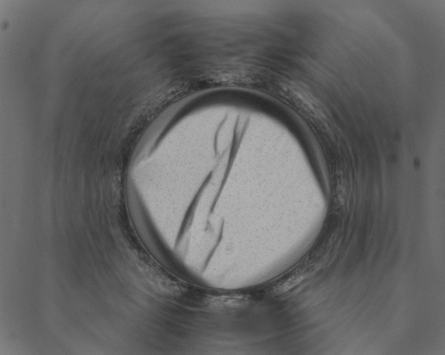 X0000087390461200705181311