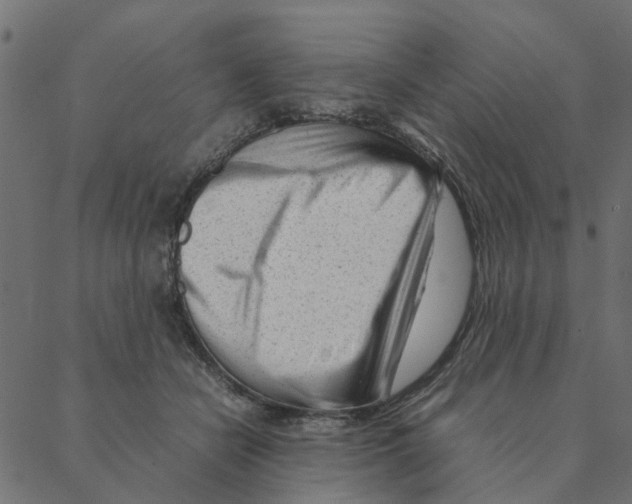 X0000087390462200705181311