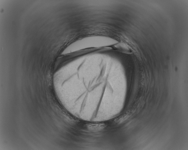 X0000087390465200705181311