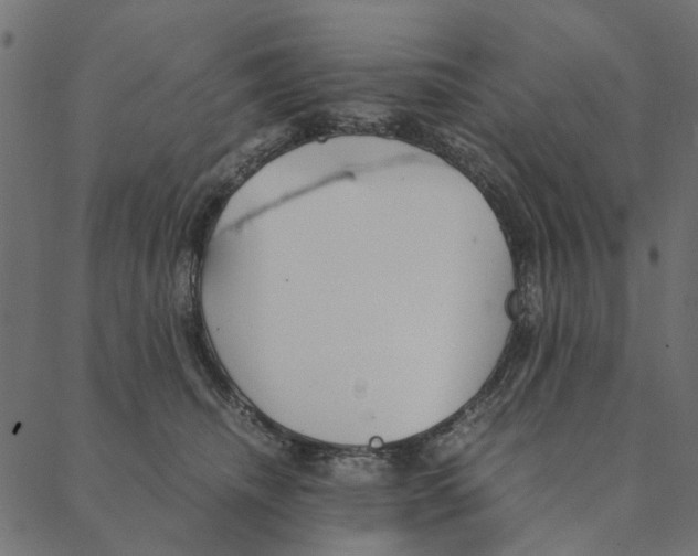 X0000087390468200705181312