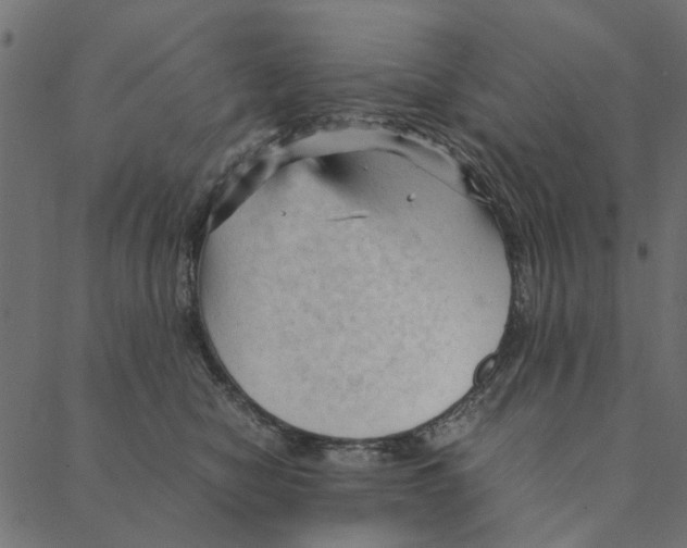 X0000087390470200705181312