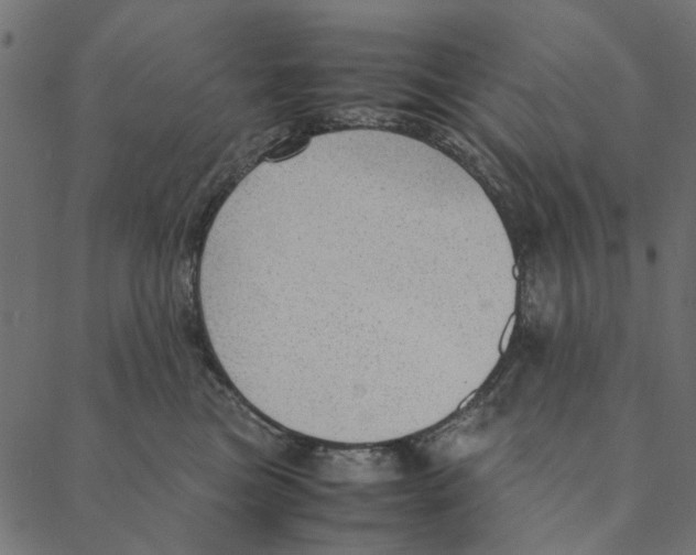 X0000087390473200705181312