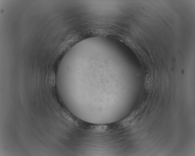 X0000087390474200705181312