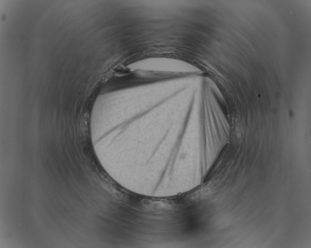 X0000087390475200705181312