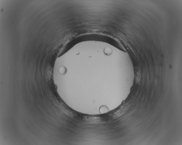 X0000087390476200705181312