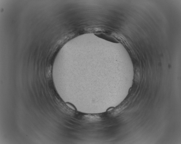 X0000087390477200705181312