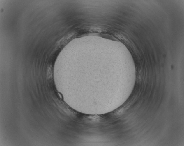 X0000087390478200705181312