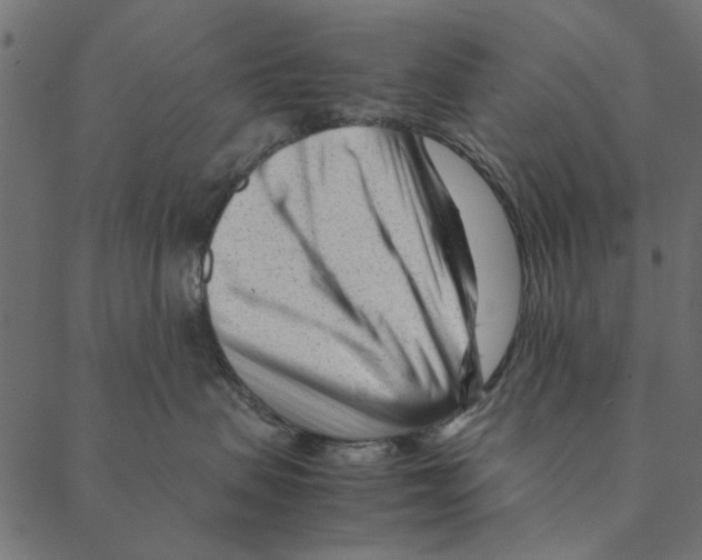 X0000087390479200705181312