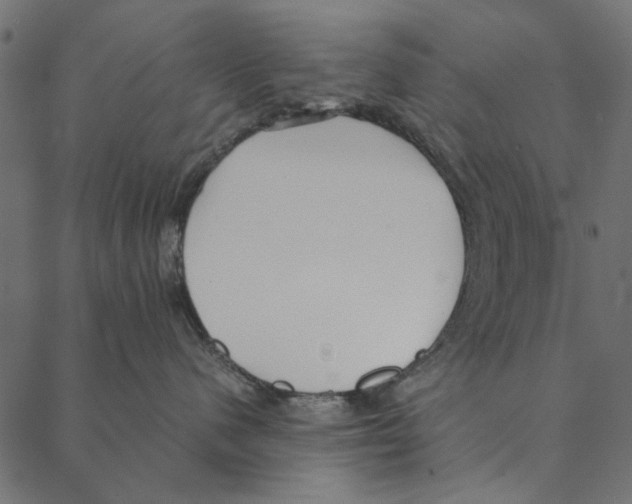 X0000087390480200705181312