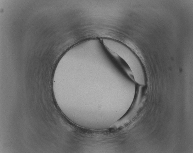 X0000087390481200705181311