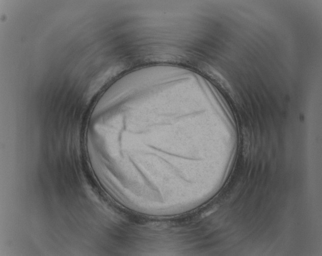 X0000087390482200705181311