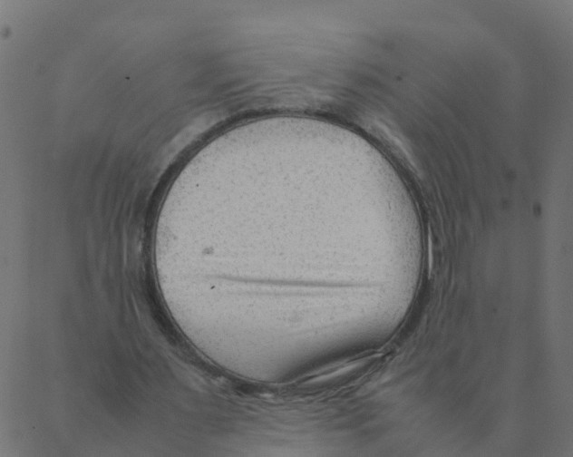 X0000087390483200705181311