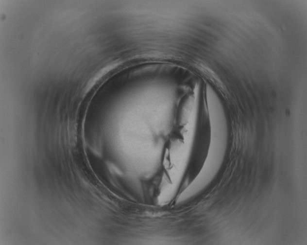 X0000087390484200705181311