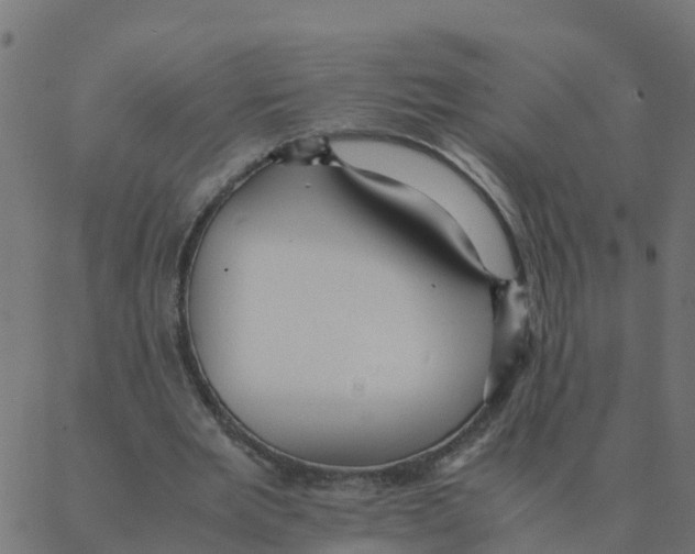 X0000087390485200705181311