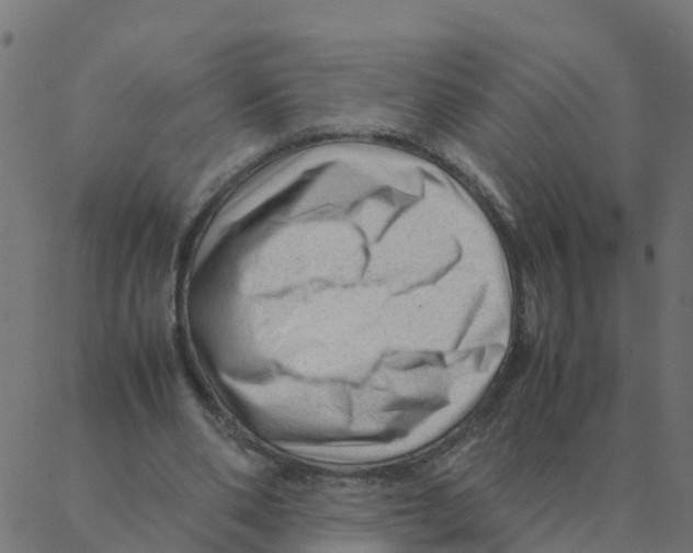 X0000087390486200705181311