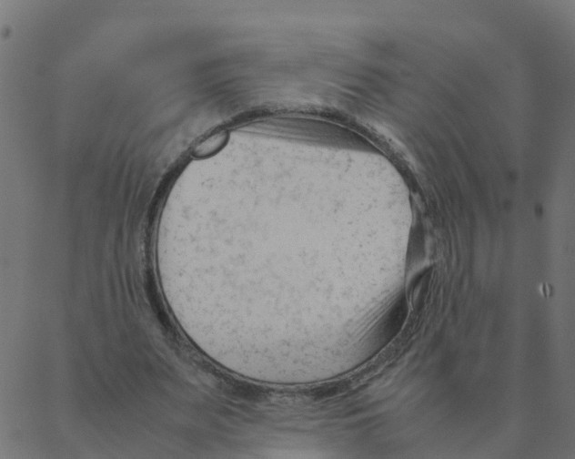 X0000087390487200705181311