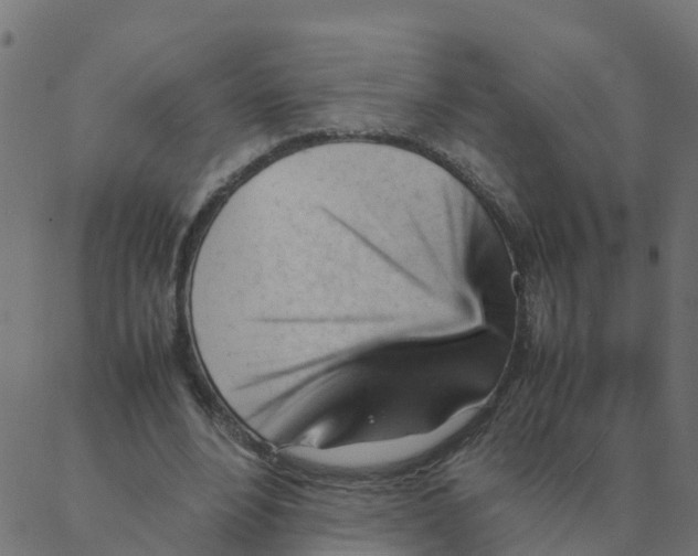 X0000087390488200705181311