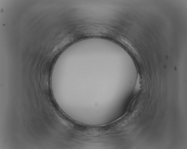 X0000087390489200705181311