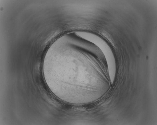 X0000087390491200705181311