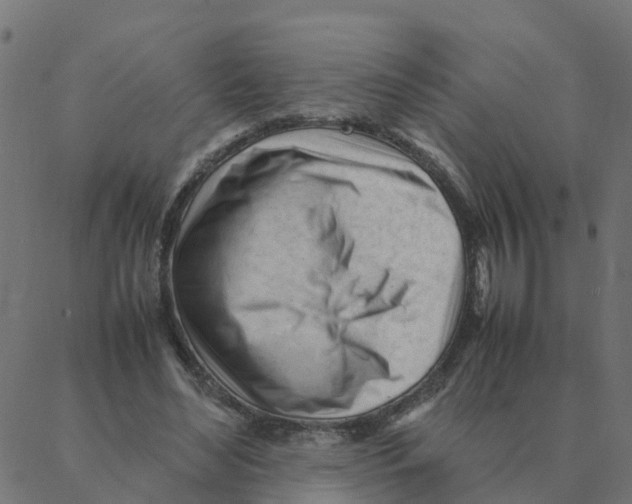 X0000087390492200705181311