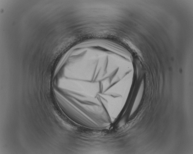 X0000087390493200705181311