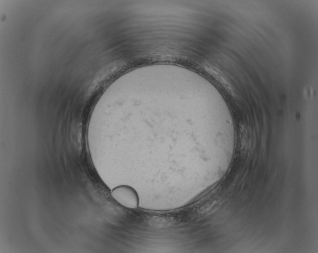 X0000087390494200705181311