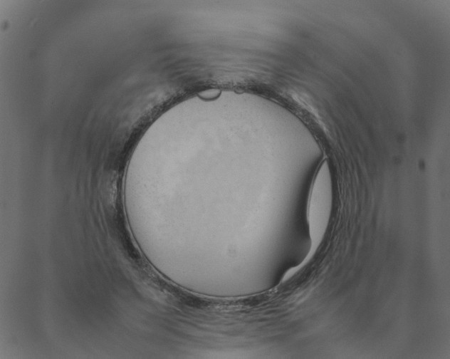 X0000087390495200705181311