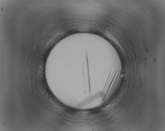 X0000087390497200705181311