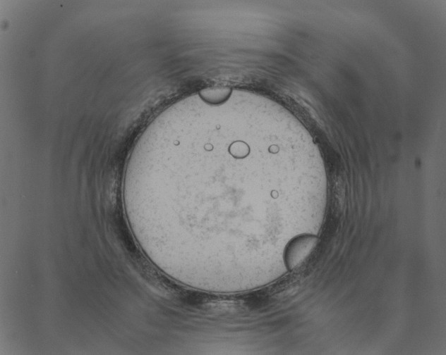 X0000087390499200705181311