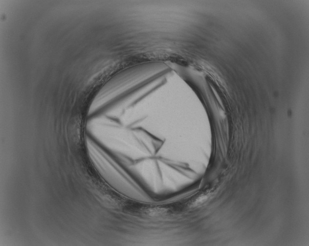 X0000087390501200705181311