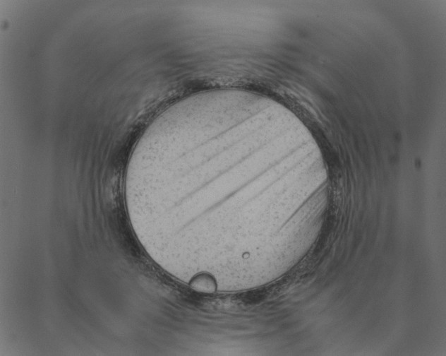 X0000087390503200705181311