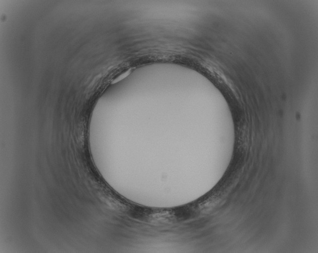 X0000087390505200705181311