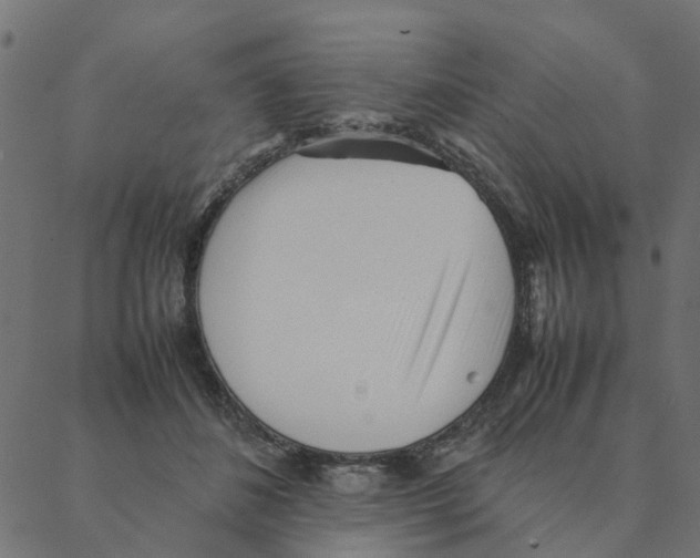 X0000087390508200705181311