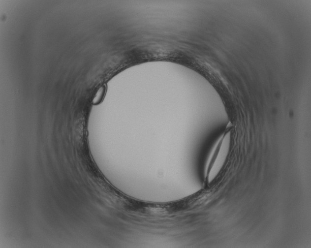 X0000087390509200705181310