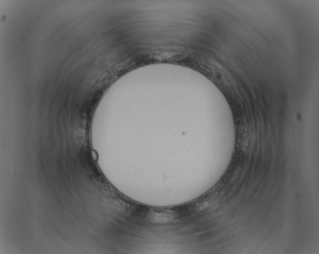 X0000087390510200705181310