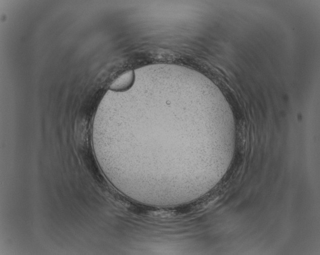 X0000087390511200705181310